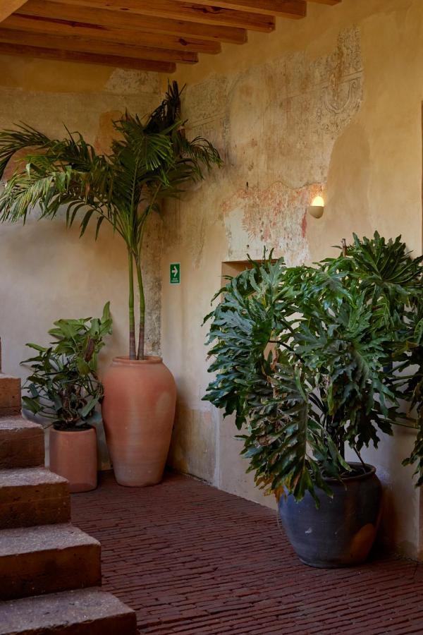 Hotel Escondido Oaxaca, A Member Of Design Hotels エクステリア 写真