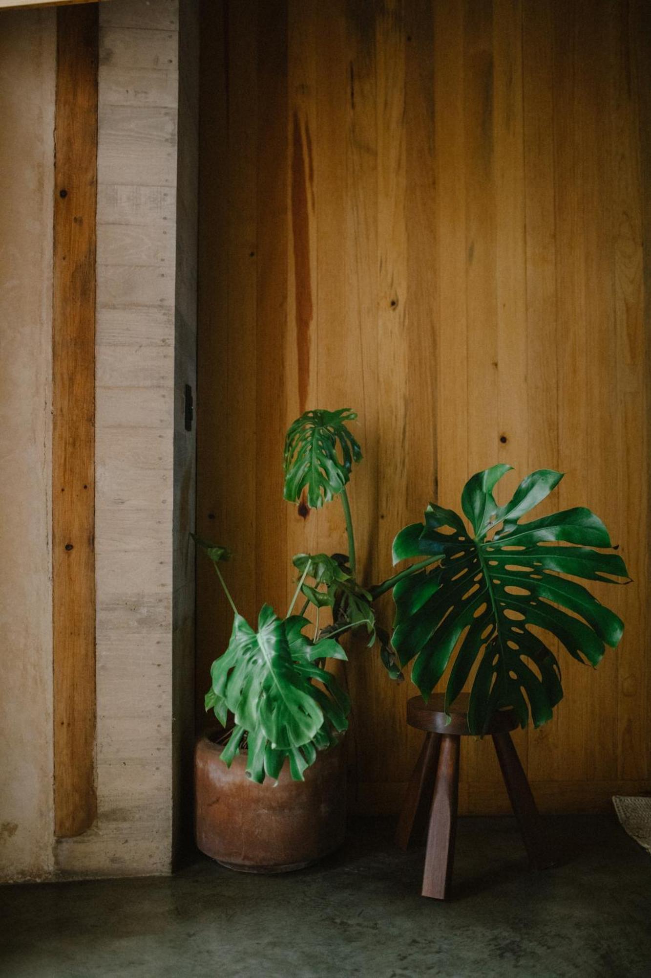 Hotel Escondido Oaxaca, A Member Of Design Hotels エクステリア 写真